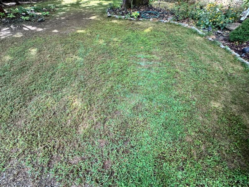 Easy to see the seed.