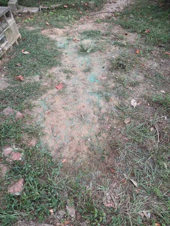 First Day of putting down the grass seed