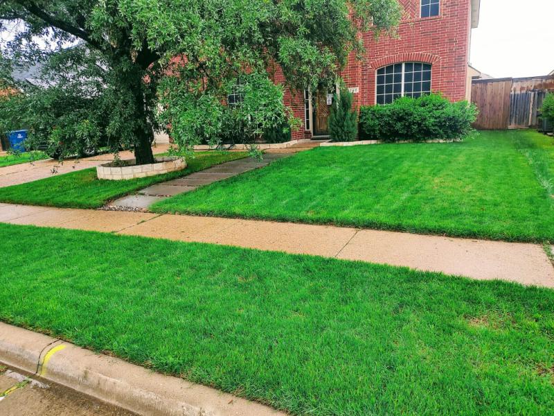 Shop Pennington Fall Overseeding with Perennial Ryegrass at Lowes.com