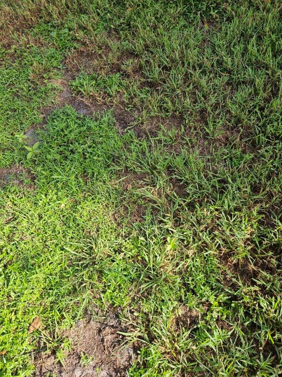 Still growing week 3