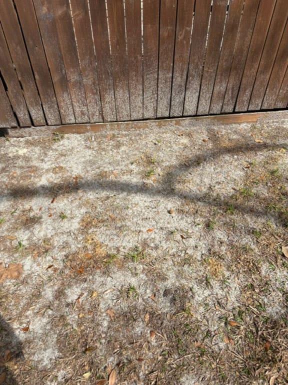 PENNINGTON ZENITH ZOYSIA GRASS SEED MIX 5lbs