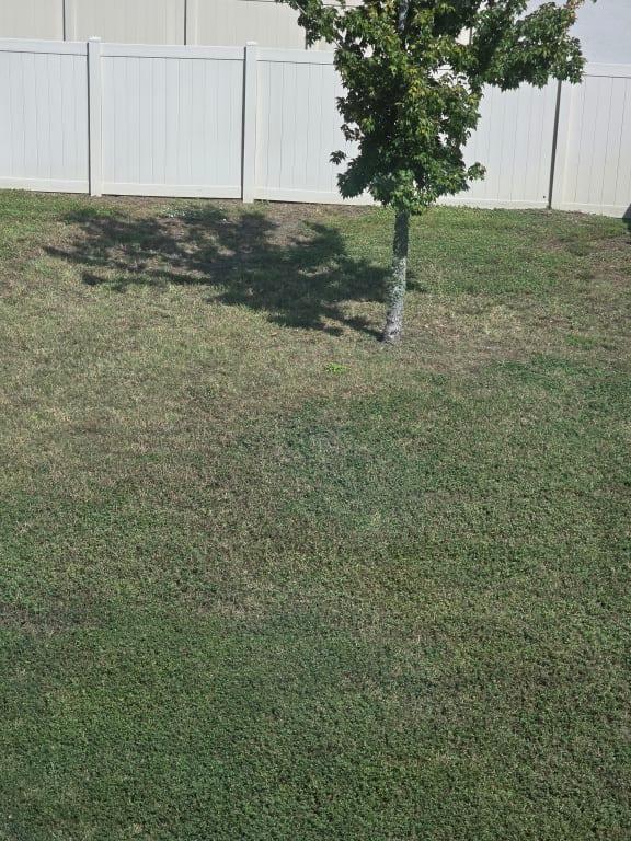 See how green where the seed was placed