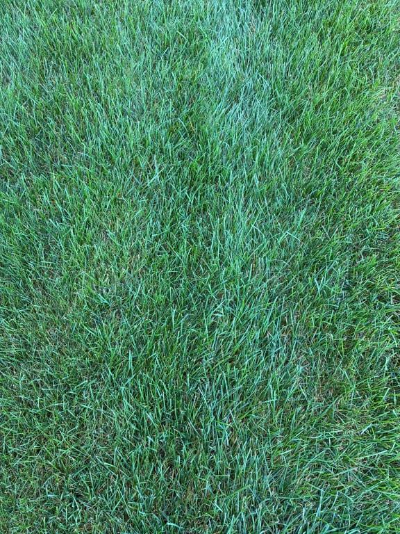 Easy to follow directions