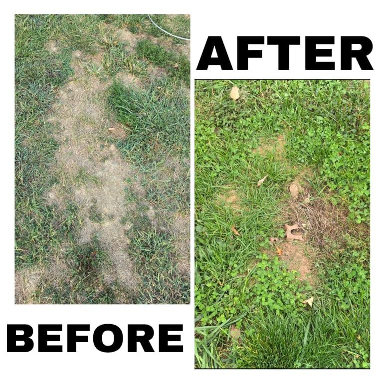 Before and after of the patch