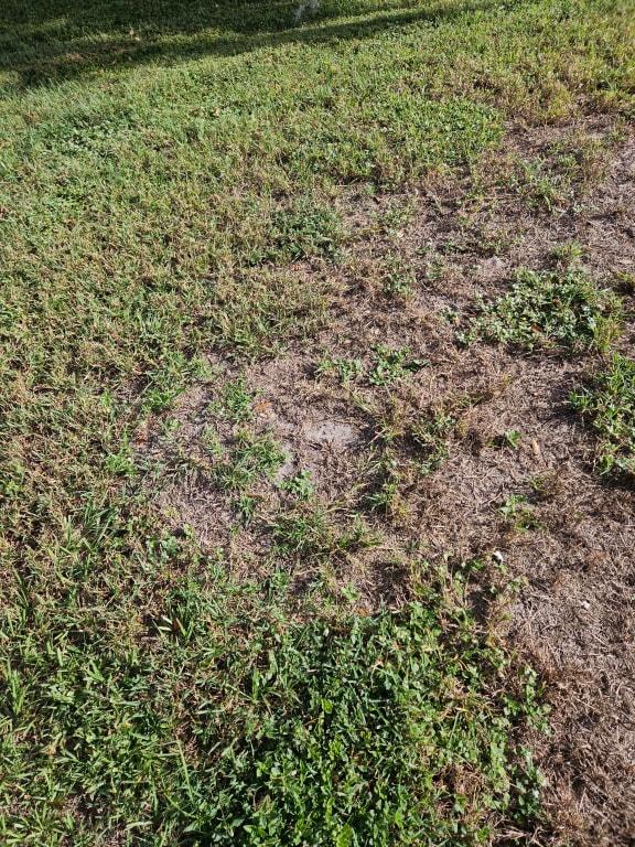 Week 1 starting to grow