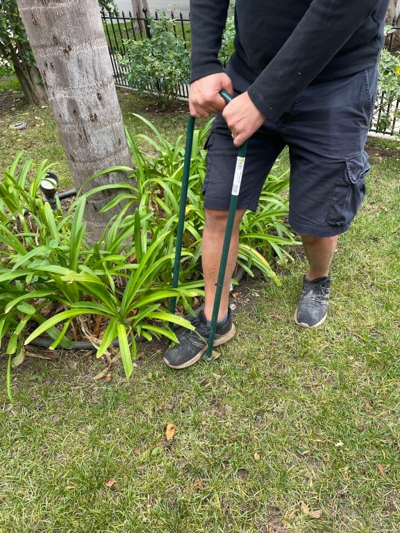 Aerating the lawn pre seed