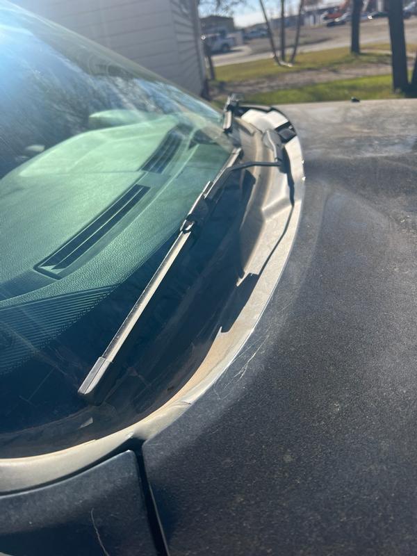 Photo - commentaire 2.