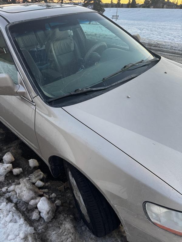 Photo - commentaire&nbsp;7.