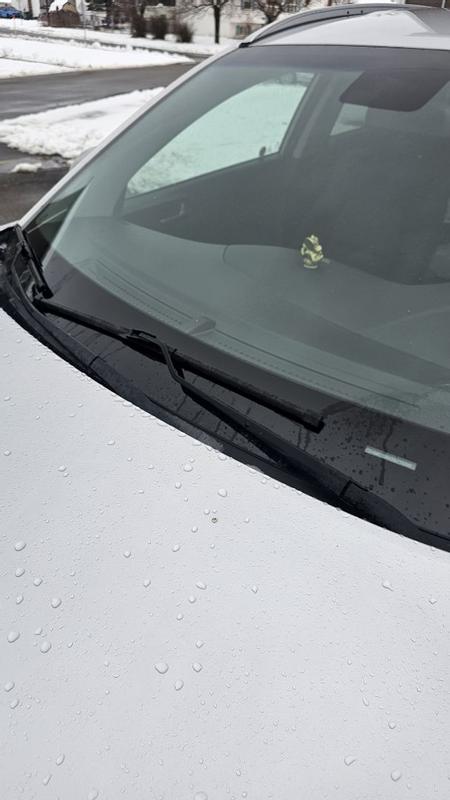 Photo - commentaire 2.