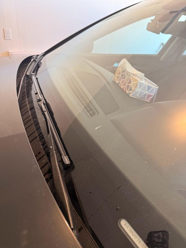 Photo - commentaire 4.