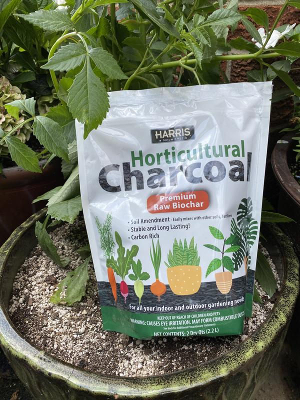 Harris Horticultural Charcoal, Premium Biochar Soil Amendment for Plants  and Terrariums, 2qt