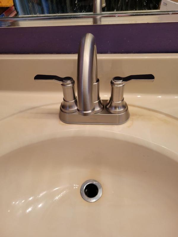 Spot Defense Brushed Nickel Briscoe LF-048-BCOGS 2-Handle 4