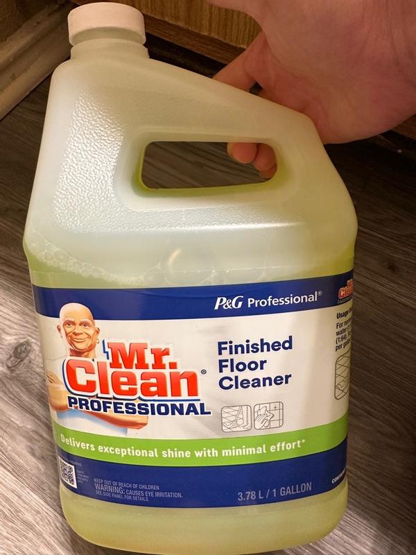 Mr. Clean Professional Liquid Floor Cleaner 1-Gallon 3700002621 at ...