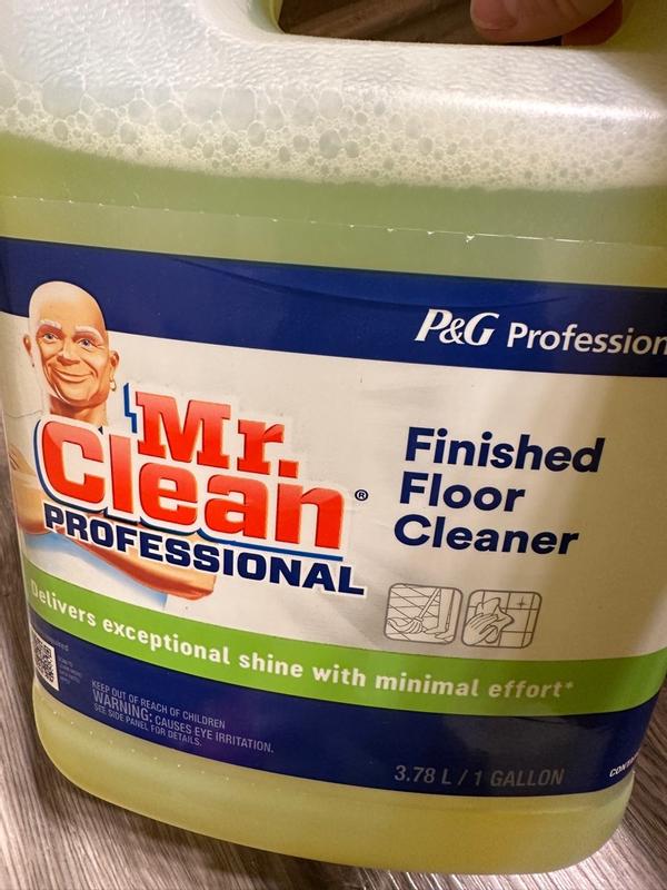 Mr. Clean Professional Liquid Floor Cleaner 1-Gallon 3700002621 at ...
