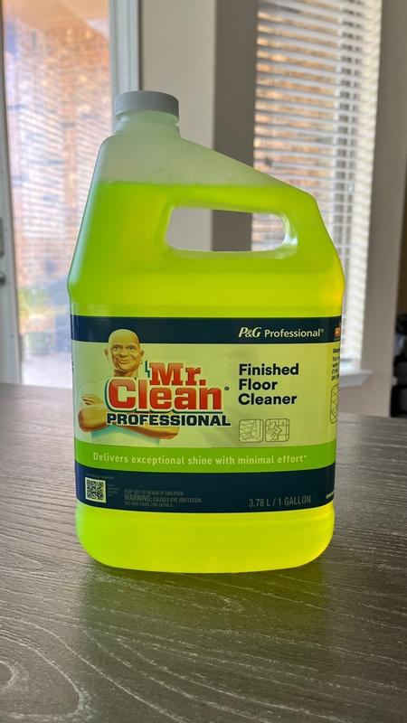 Mr. Clean Professional Liquid Floor Cleaner 1-Gallon 3700002621 at ...