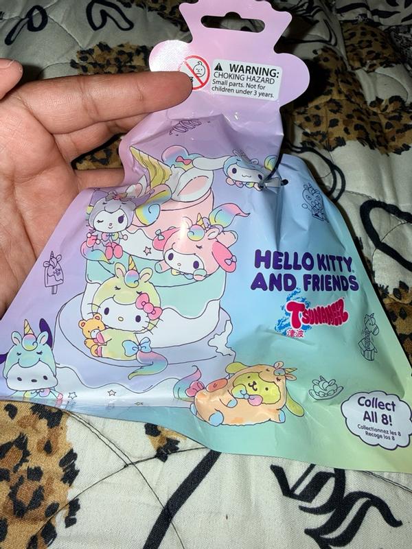 Hello Kitty & Friends Tsunameez Blind Bag | Hobby Lobby | 1000115