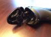 User submitted photo