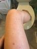 User submitted photo