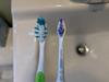 User submitted photo