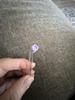 User submitted photo