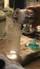 User submitted photo