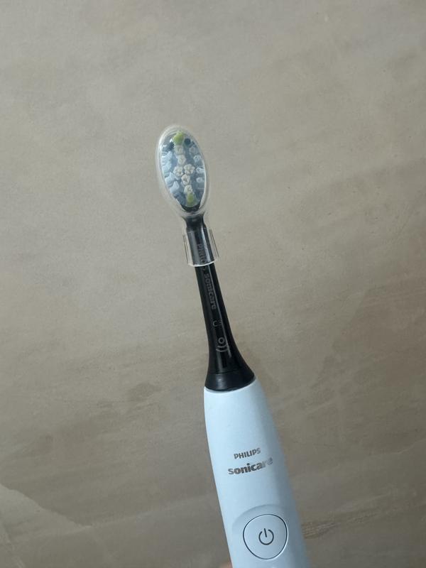 Brush head with protective cover on (which comes with each head)