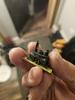 User submitted photo