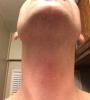 User submitted photo