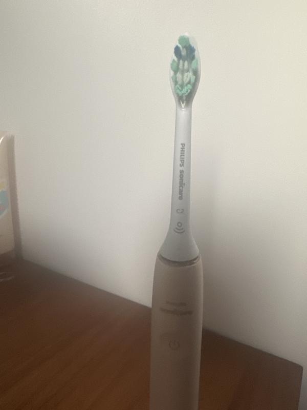 Tête de brosse