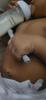 User submitted photo