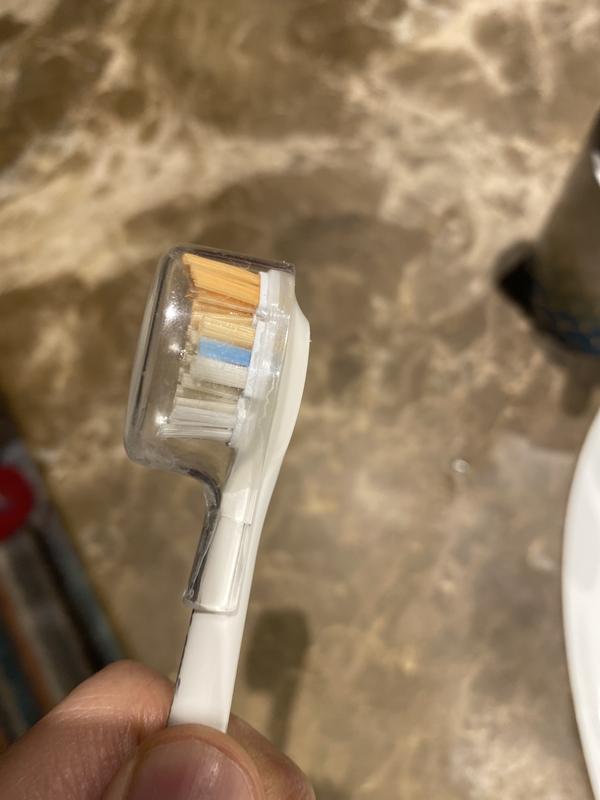 The brush cover