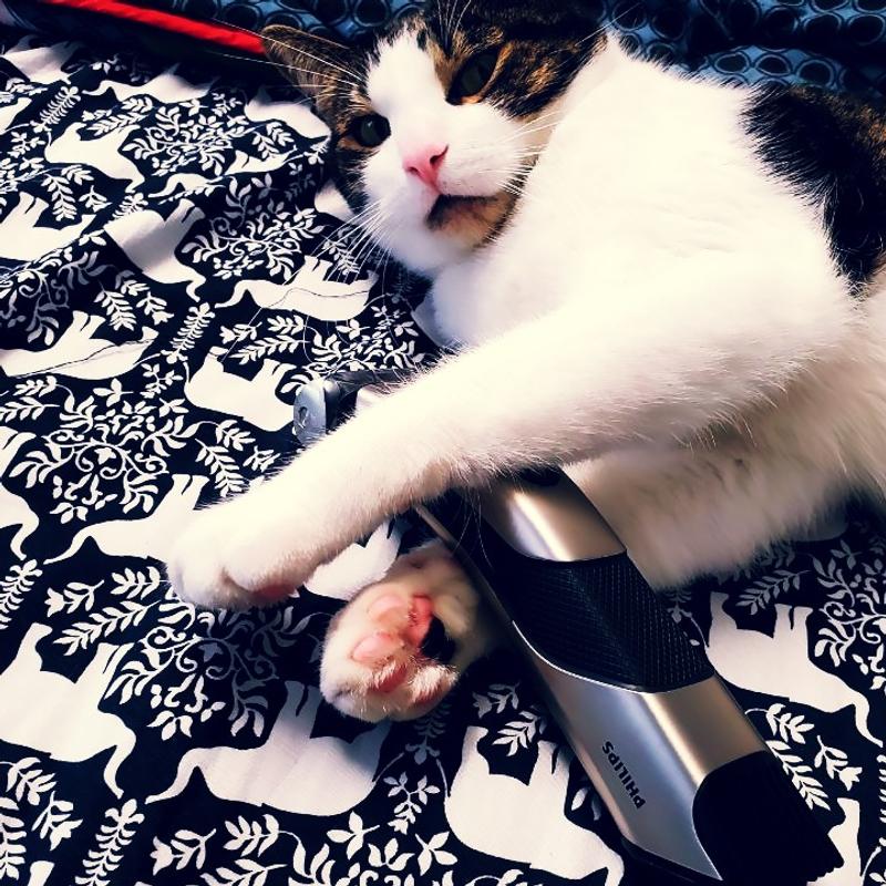 Customer photo 2 of 3. Click to open full size image.