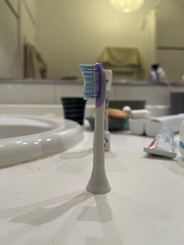 Photo du client 2 de 4. Cliquez pour ouvrir l'image pleine grandeur.