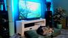 PHILIPS THE ONE AMBILIGHT QLED 4K 65 INCH 65PUS9050/12 (2025)