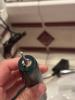 User submitted photo