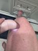 User submitted photo
