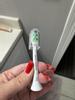 User submitted photo