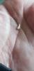 User submitted photo