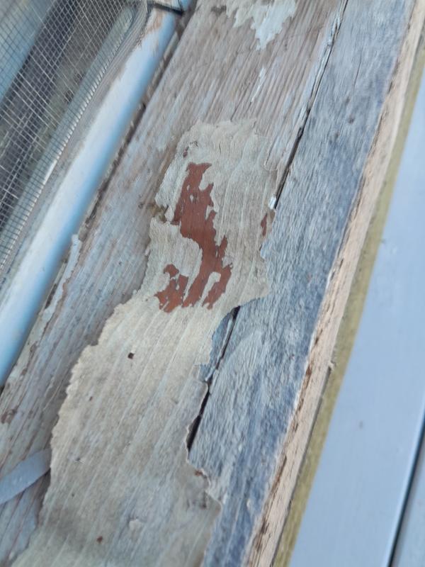 Exterior Wood Stain Colors - Shipmate Blue - Wood Stain Colors - Resurfacer  - Olympic