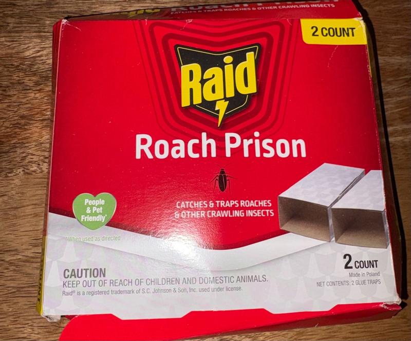 Raid Raid Roach Prison Trap Indoor Glue Glue Insect Trap in the Insect ...