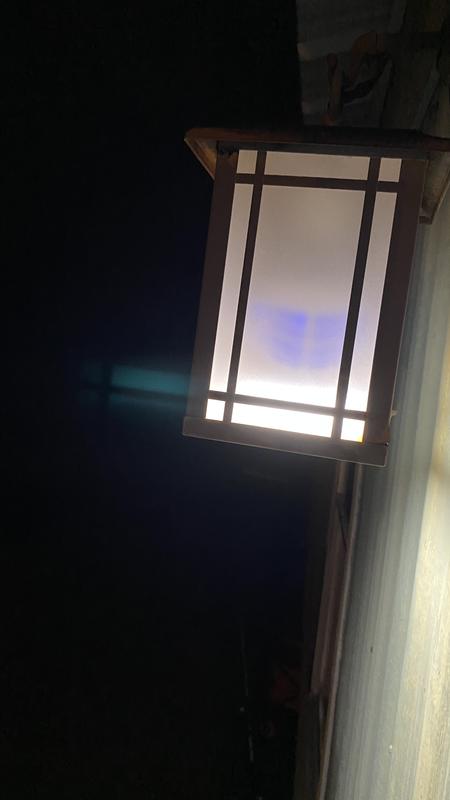 LED and UV Lights!