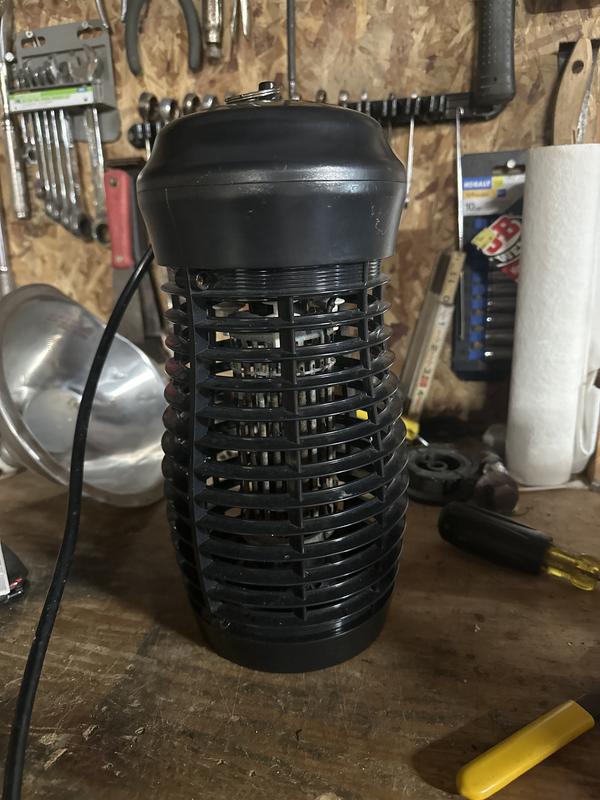 My light and the bulb