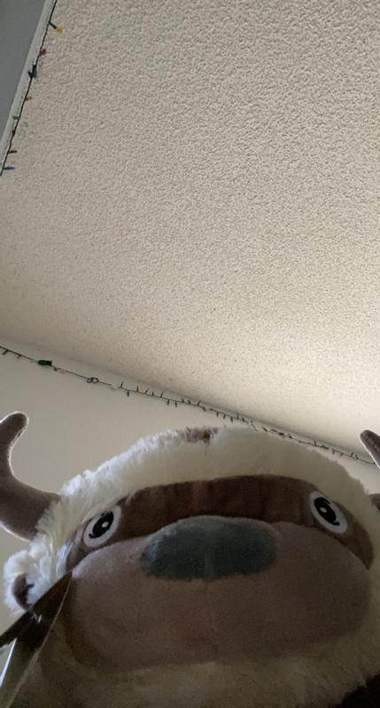Appa steals phone to take selfie