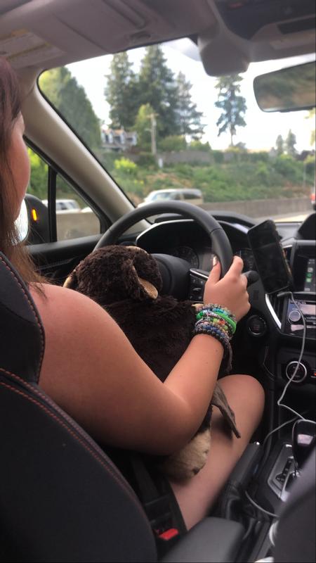 Mr. Bear in the car