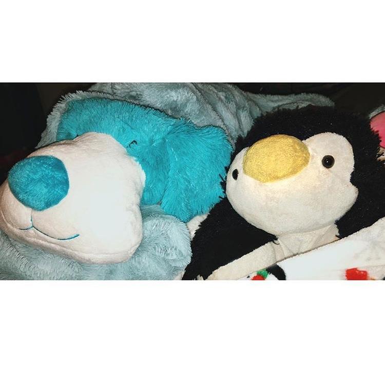 My colorful pup with Kyler my penguin