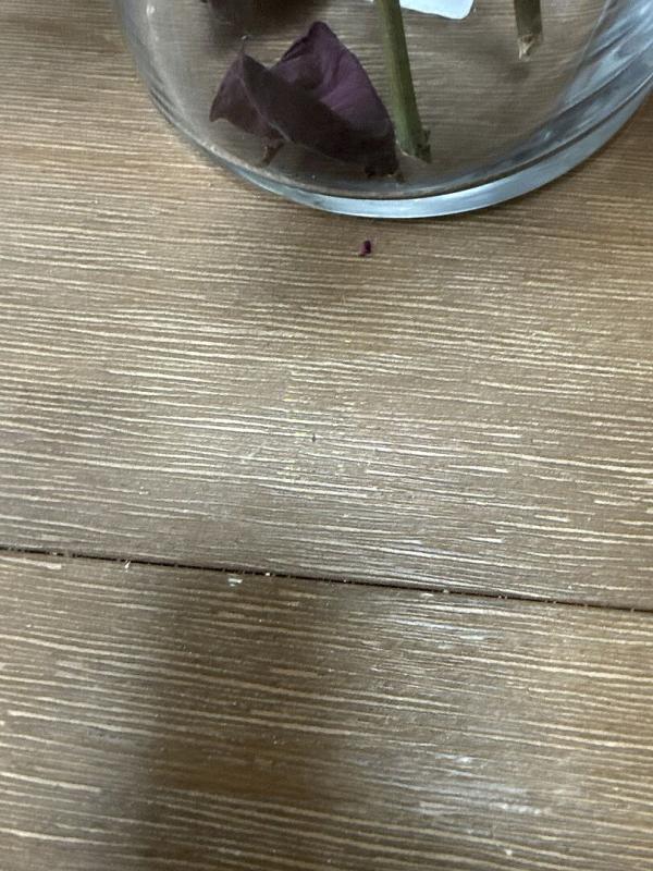 Customer carousel item 1.