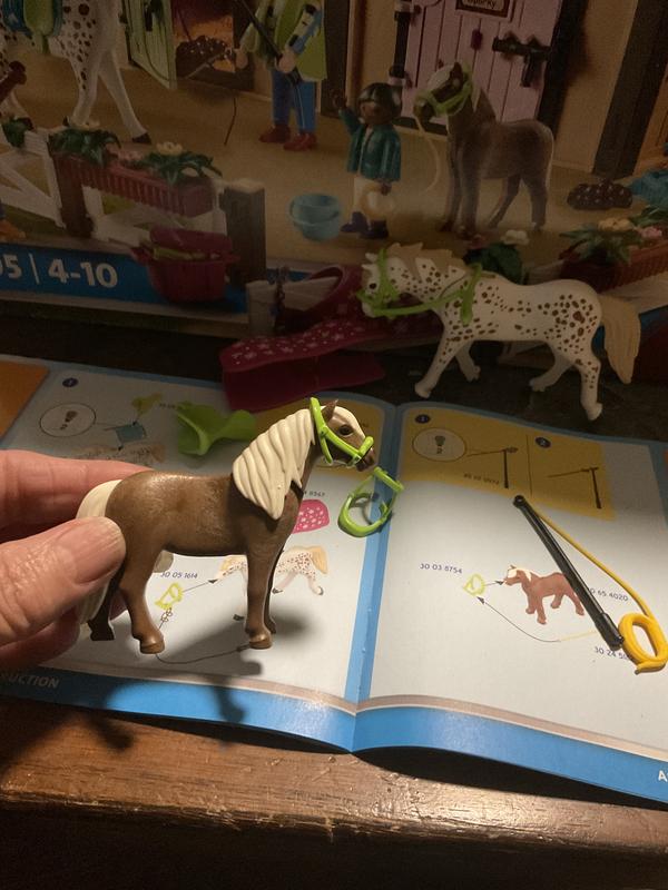 Our favorite thing, the horses