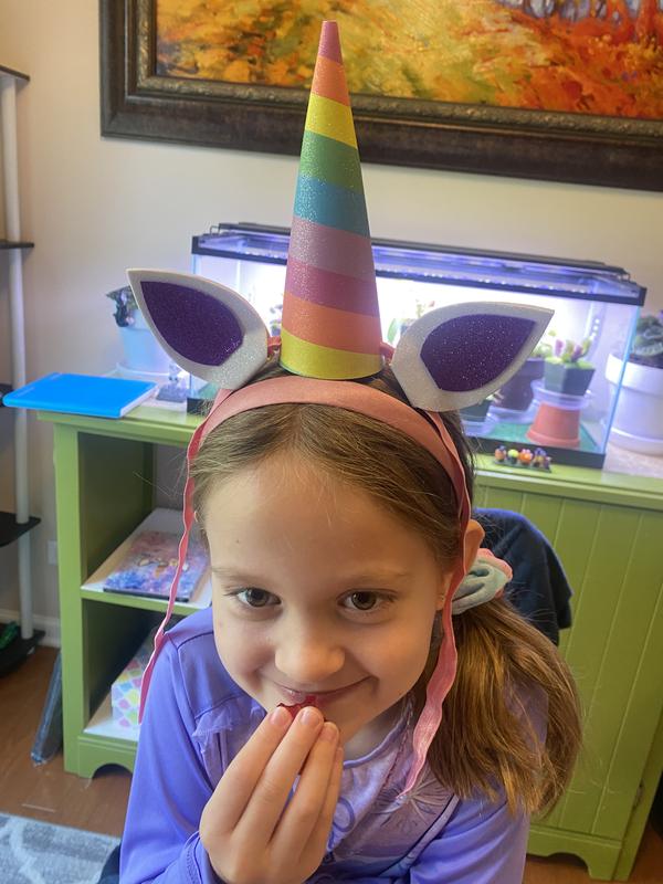 CRAFT-TASTIC® I LOVE UNICORNS – PlayMonster