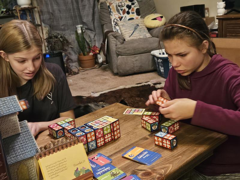 Customer photo for "Great game!"