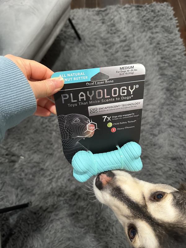Playology Plush Bone Peanut Butter Scented Dog Toy - Large
